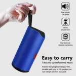 Portable Wireless Speaker TG113